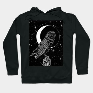 An Owl Made of Midnight Hoodie